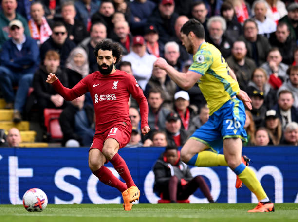 浙江省的足 浙江省的足